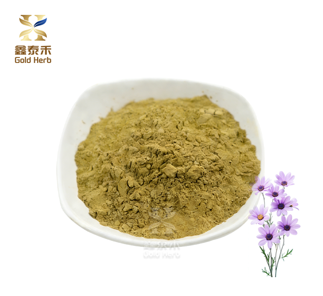 Echinacea extract powder